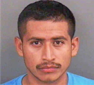 Dominguezcruz Jorge - Collier County, FL 