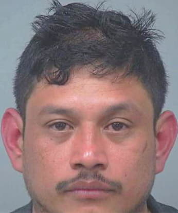 Ramirez-Blanco Luis - Gwinnett County, GA 