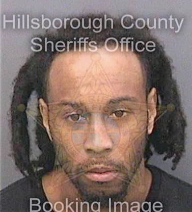 Sims Mario - Hillsborough County, FL 