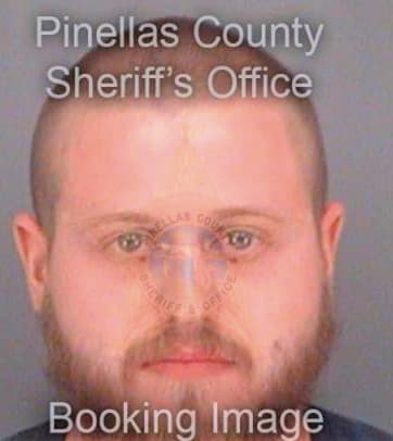 Hutchins Michael - Pinellas County, FL 