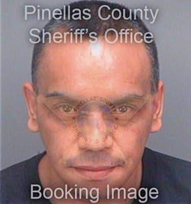 Portillocruz Oscar - Pinellas County, FL 