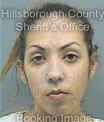 Adderley Cheyenne - Hillsborough County, FL 