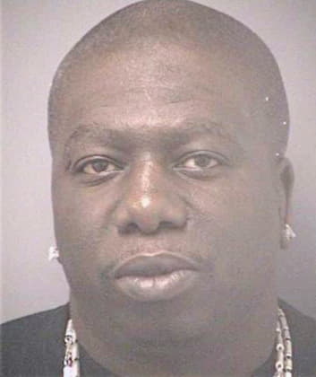 Bingham Dan - Hillsborough County, FL 