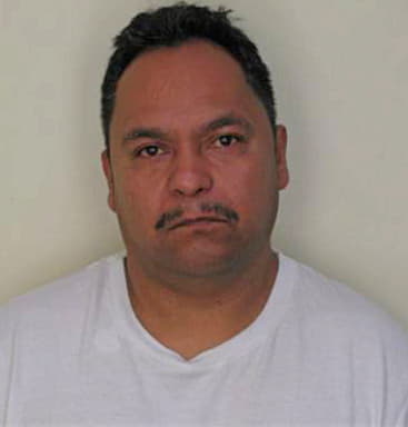 Martinez Fernando - Hillsborough County, FL 