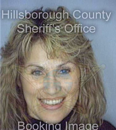 Santiago Emilcie - Hillsborough County, FL 