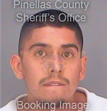Torres Jorge - Pinellas County, FL 