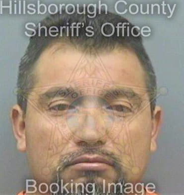 Hernandez Miguel - Hillsborough County, FL 