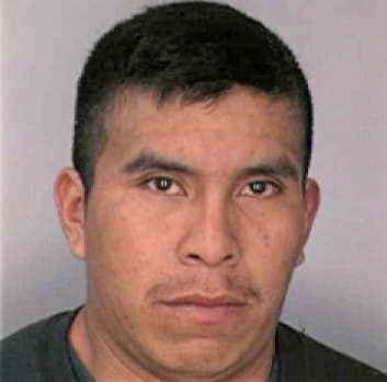 Velazquez Falvio - Hillsborough County, FL 