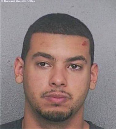 Silva Igor - Broward County, FL 