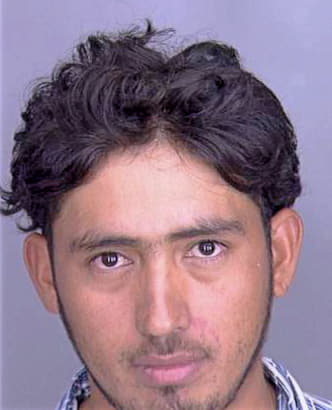 Reyes Jose - Dallas County, TX 