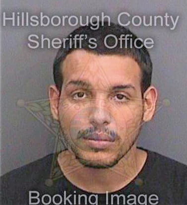 Gonzalez Mark - Hillsborough County, FL 