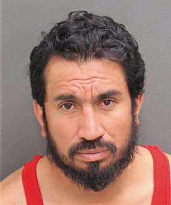 Diaz Orvelin - Orange County, FL 