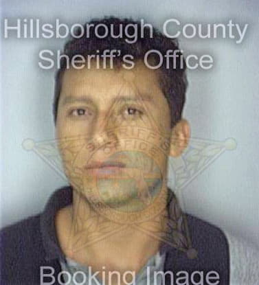 Mandragon Pedro - Hillsborough County, FL 