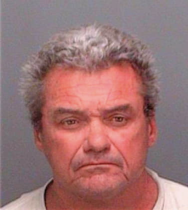 Melley Robert - Pinellas County, FL 