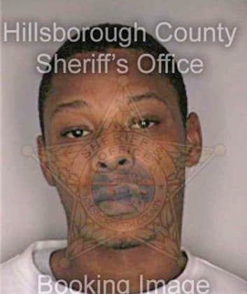 Armstrong David - Hillsborough County, FL 
