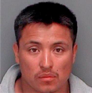 Aldana-Pena Ignacio - Pinellas County, FL 