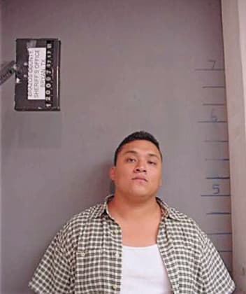 Villalpando Michael - Brazos County, TX 