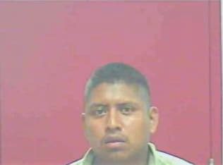 Morales Sergio - Rhea County, TN 