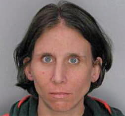 Paullin Lesley - Hillsborough County, FL 
