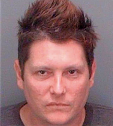 Stevens Michael - Pinellas County, FL 