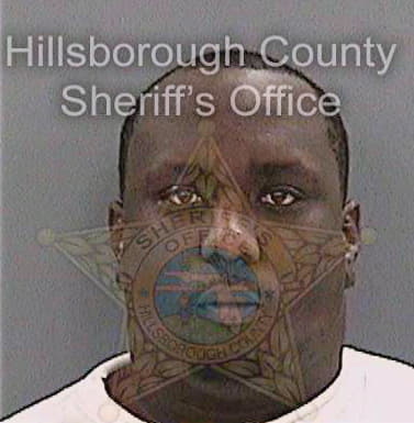 Williams Reginald - Hillsborough County, FL 