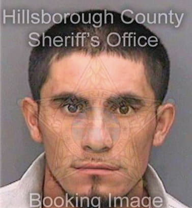 Jimenezaguillon Ricardo - Hillsborough County, FL 