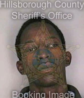 Jenkins Alvin - Hillsborough County, FL 