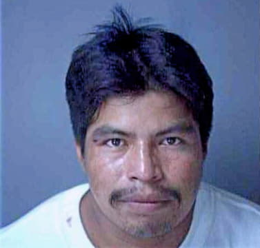 Hernandez Antonio - Lee County, FL 