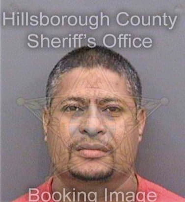Hernandezcaceres Juan - Hillsborough County, FL 