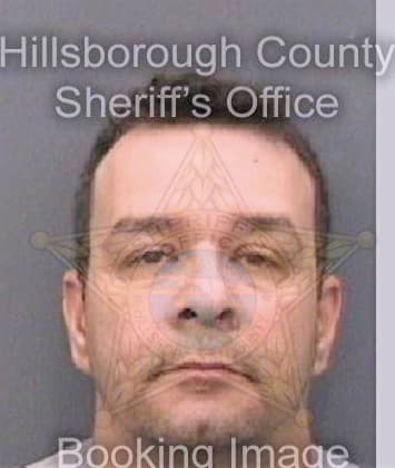 Hernandez Angel - Hillsborough County, FL 