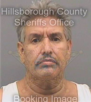 Rodriguez Felix - Hillsborough County, FL 