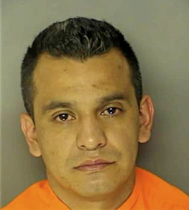 Chama-Itza Rafael - Horry County, SC 