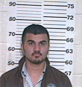 Mendoza Salomon - Hidalgo County, TX 