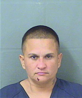 Gonzalezgonzalez Yadira - PalmBeach County, FL 