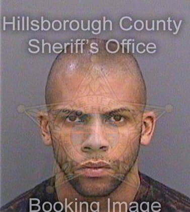 Chriss Henry - Hillsborough County, FL 