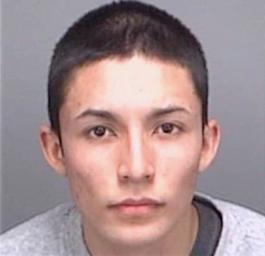 Perezmartinez Jesus - Pinellas County, FL 