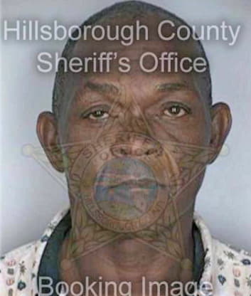 Briscoe Lewis - Hillsborough County, FL 