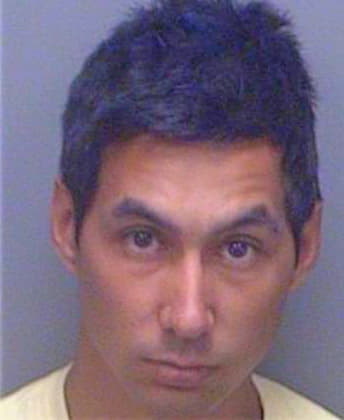 Bice Raymond - Pinellas County, FL 
