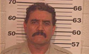 Gomez Ismael - Hidalgo County, TX 