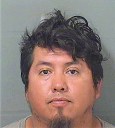 Perezmorelos Jonathan - PalmBeach County, FL 
