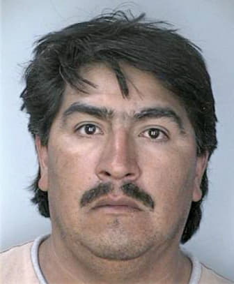 Vilchis Jorge - Hillsborough County, FL 