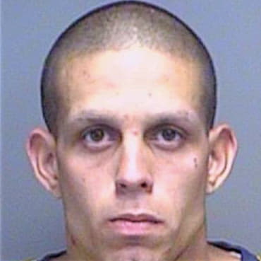 Sanchez Miquel - Pinellas County, FL 