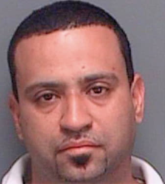 Rodriquez Nicholas - Pinellas County, FL 