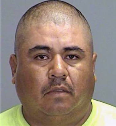 Castro-Segovia Raul - Brazos County, TX 