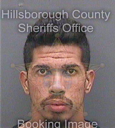 Diaz Christian - Hillsborough County, FL 