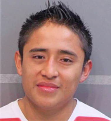 Meza Jose - Hamilton County, TN 