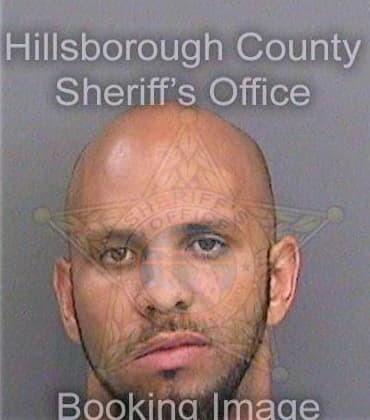 Amico Josef - Hillsborough County, FL 