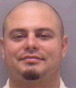 Alessi Michael - Lee County, FL 