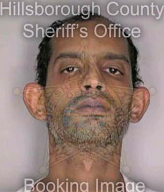Torres Anibal - Hillsborough County, FL 