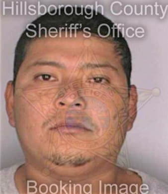 Gonzalezperez Jose - Hillsborough County, FL 